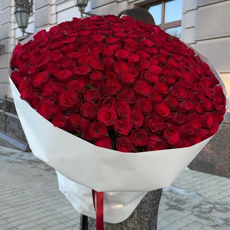 201 красная роза